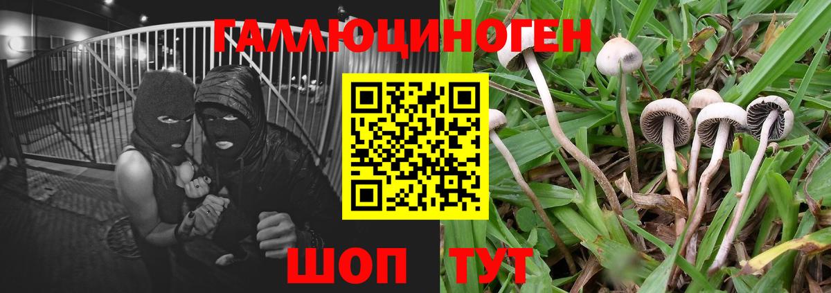 Галлюциногенные грибы GOLDEN TEACHER  Вход с VPN  Псилоцибиновые грибы прущие грибы  Чусовой 
